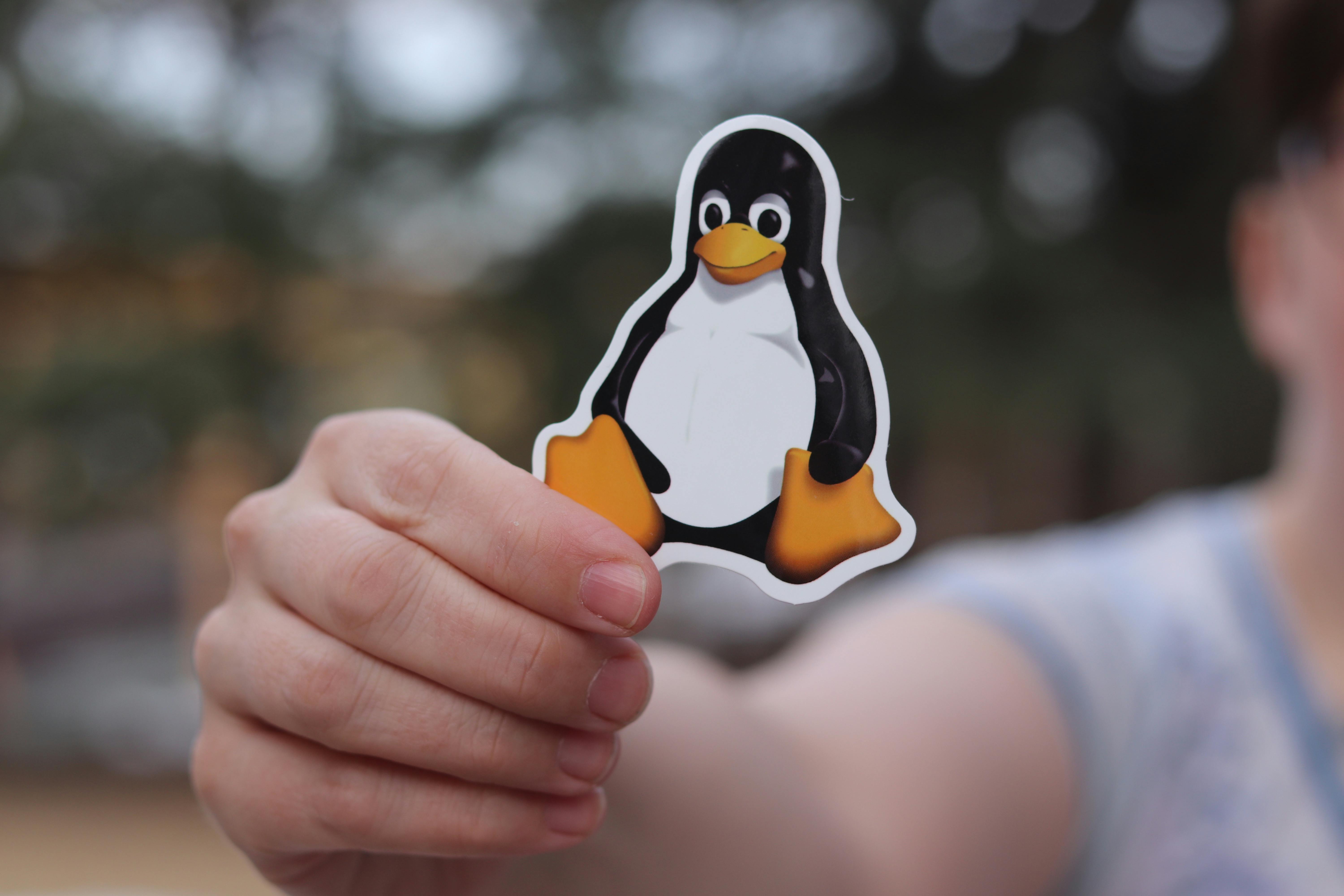 Linux pour l'IA : de novice à ninja